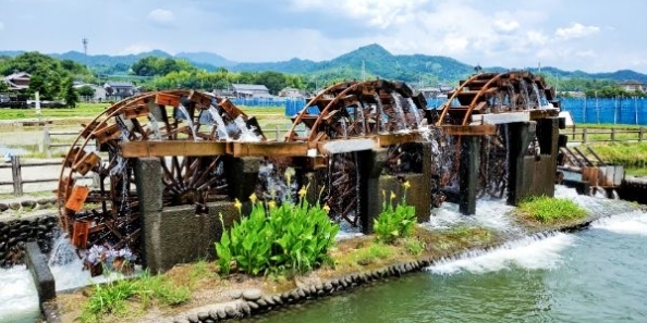 地域画像