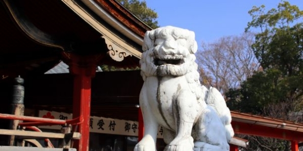 地域画像