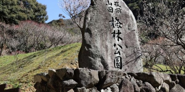 地域画像
