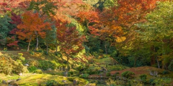 地域画像