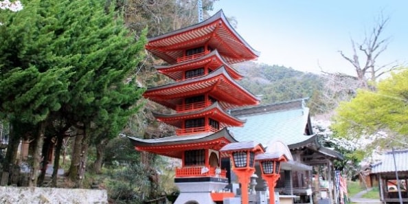 地域画像