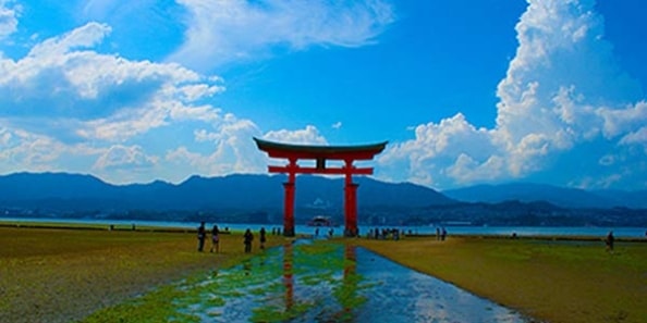 地域画像