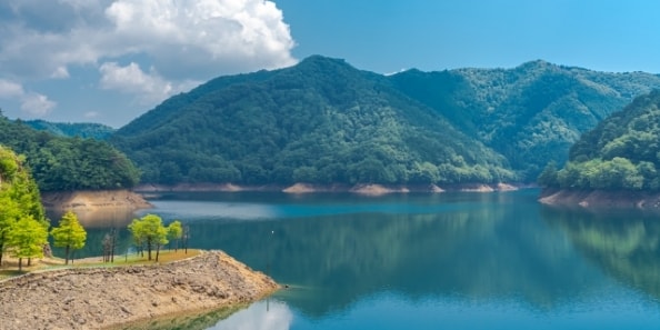 地域画像