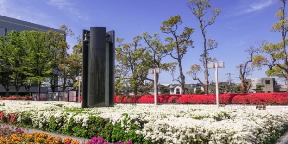 地域画像