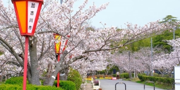 地域画像