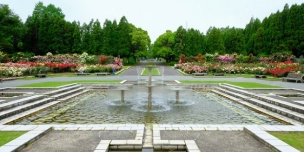 地域画像