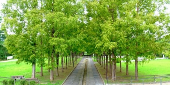 地域画像