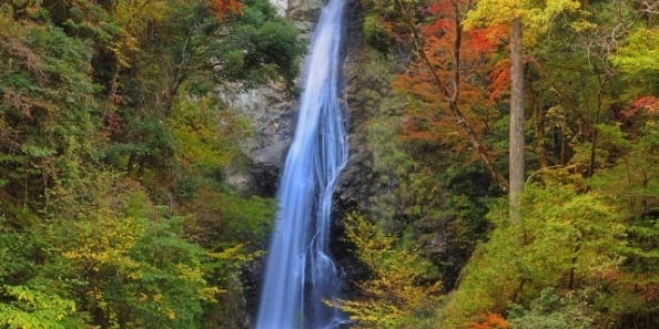 地域画像