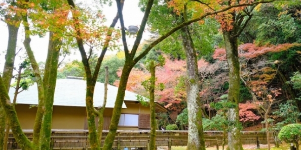地域画像