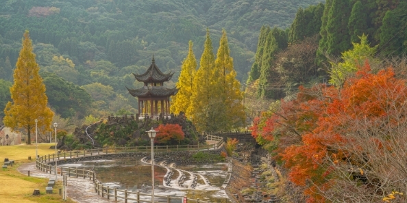地域画像
