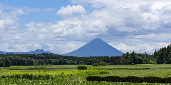 地域画像
