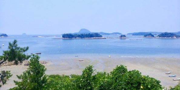 地域画像