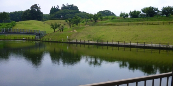 地域画像