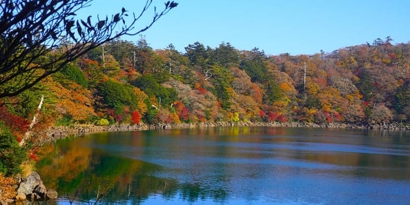 地域画像
