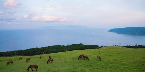 地域画像