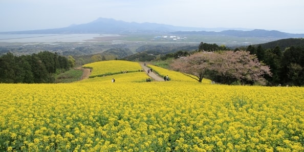 地域画像