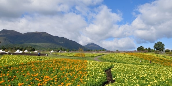 地域画像