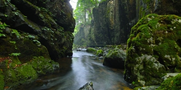 地域画像