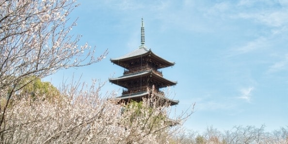 地域画像