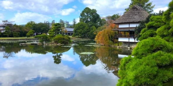 地域画像