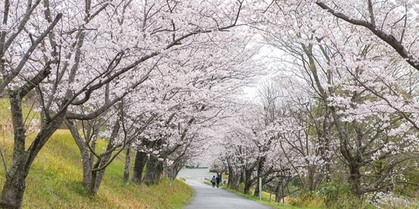 地域画像