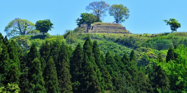 地域画像