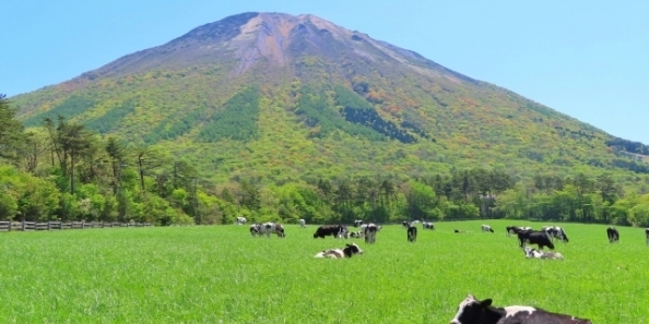 地域画像