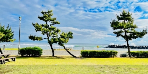 地域画像