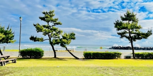 地域画像