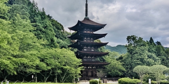 地域画像